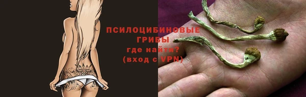 стаф Армянск