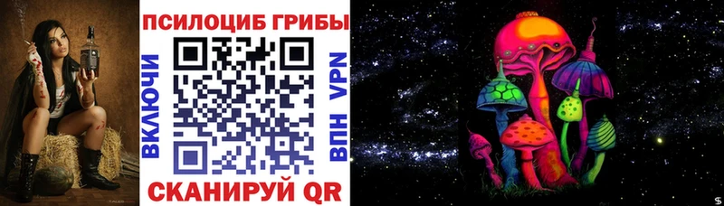 Купить  Назарово  Псилоцибиновые грибы Psilocybe 